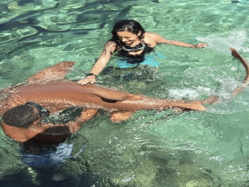 Reserva los mejores tours, actividades y atracciones turísticas de Colombia